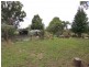 Wauchope NSW 2446