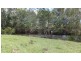 Wauchope NSW 2446