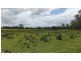 Wauchope NSW 2446