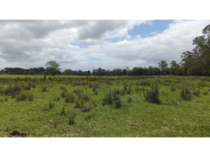 Wauchope NSW 2446