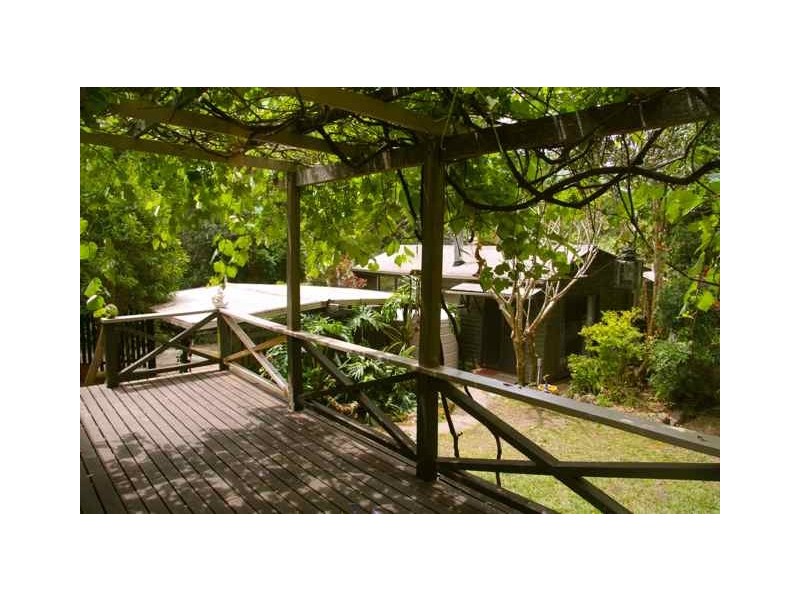 771 Left Bank Road, Mullumbimby Creek NSW 2482
