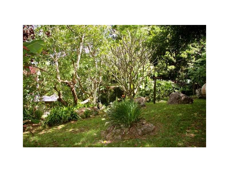771 Left Bank Road, Mullumbimby Creek NSW 2482