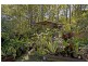 238-242 Guanaba Rd, Tamborine Mountain QLD 4272