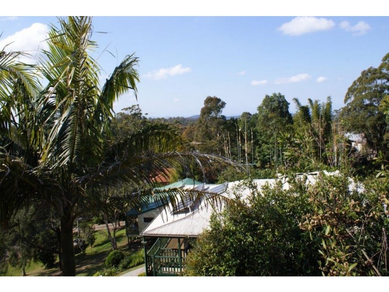 14 Kalmia Ct, Tamborine Mountain QLD 4272