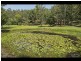 31 Curlew Ct, Tamborine QLD 4270
