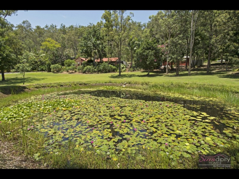 31 Curlew Ct, Tamborine QLD 4270