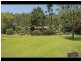 31 Curlew Ct, Tamborine QLD 4270
