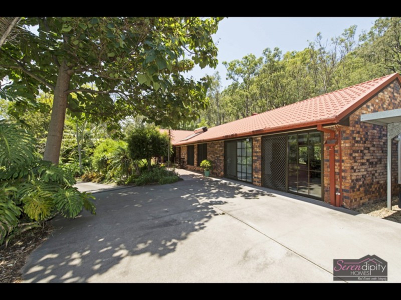 31 Curlew Ct, Tamborine QLD 4270