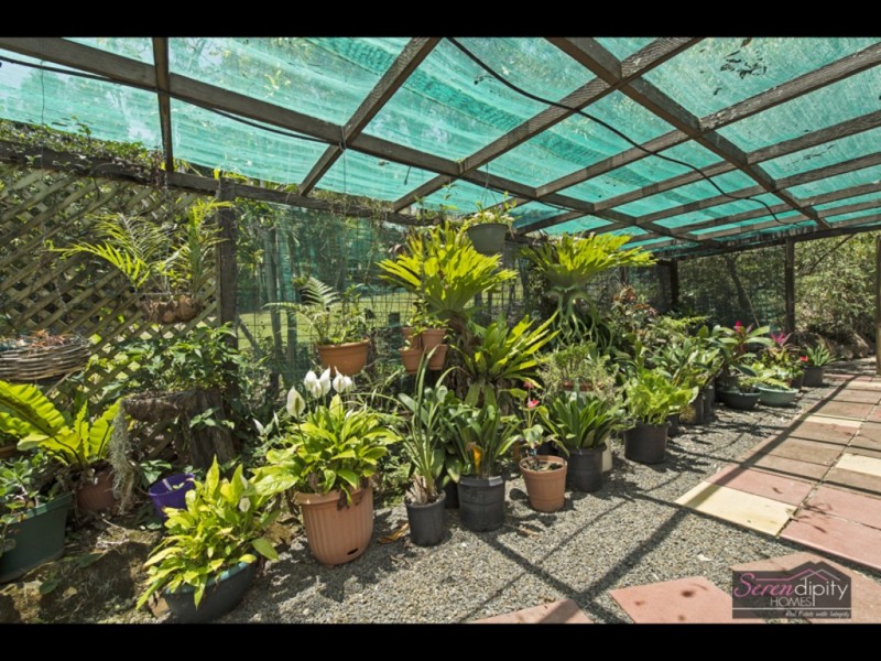 31 Curlew Ct, Tamborine QLD 4270