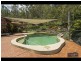 31 Curlew Ct, Tamborine QLD 4270