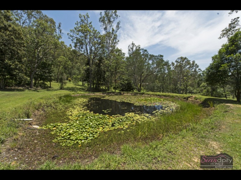 31 Curlew Ct, Tamborine QLD 4270