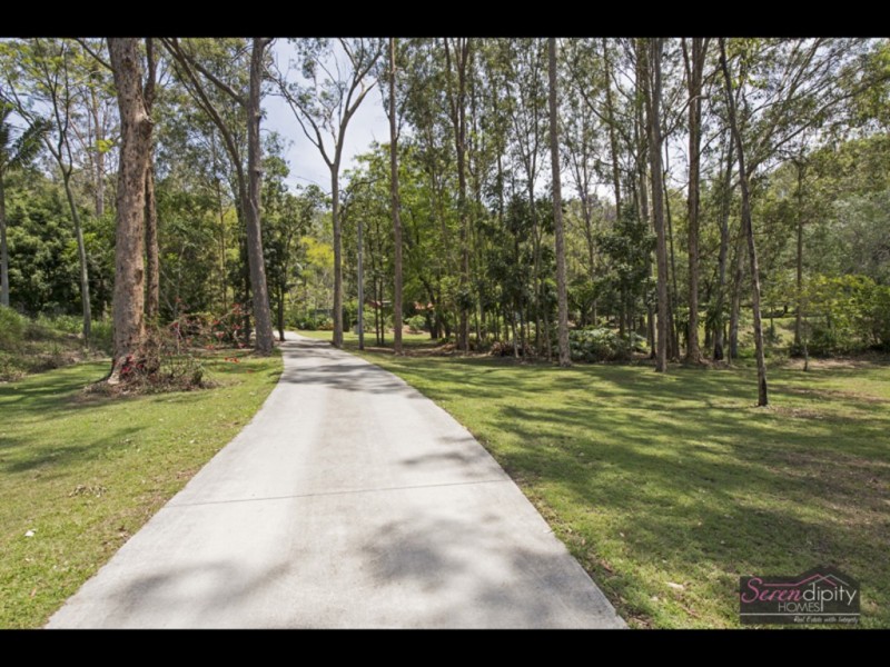 31 Curlew Ct, Tamborine QLD 4270