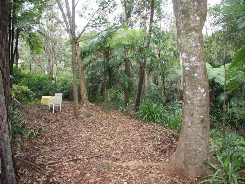 11 Wasatch Ct, Tamborine Mountain QLD 4272