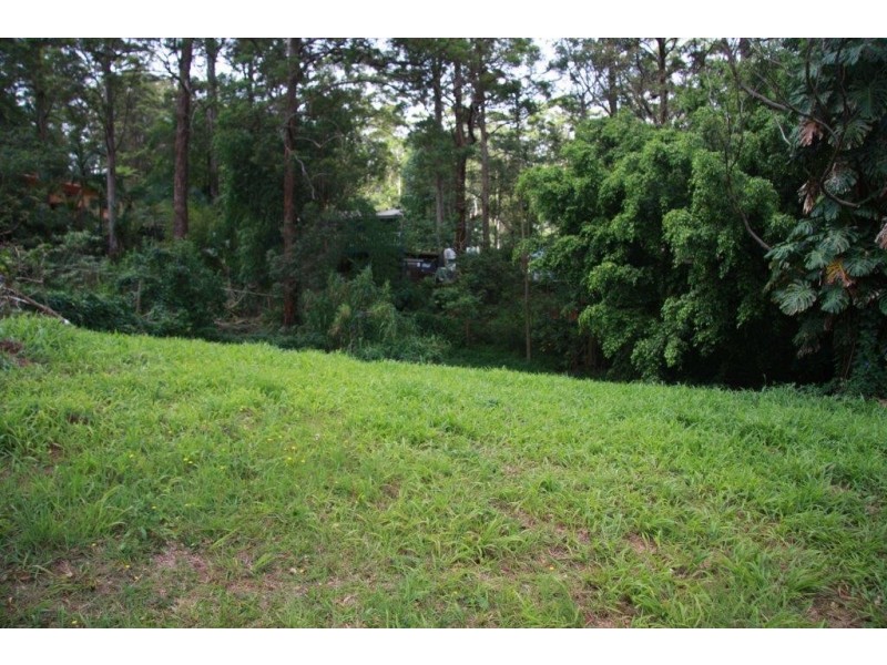 12 Kinabalu Dr, Tamborine Mountain QLD 4272