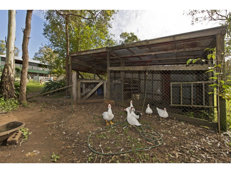 49 Sundown Crt, Tamborine QLD 4270