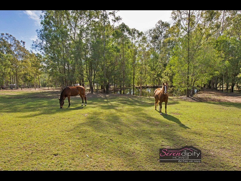 41 Ironbark Rd, Tamborine QLD 4270