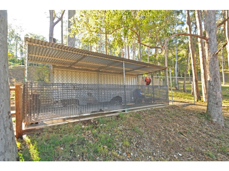13-19 Chianina Crt, Tamborine QLD 4270