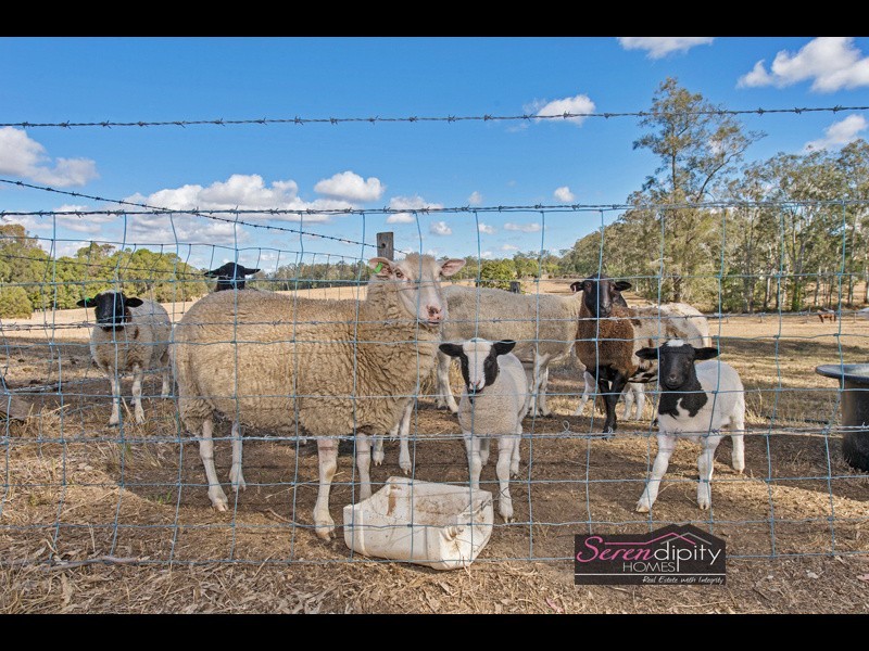 201-227 Plunkett Rd, Tamborine QLD 4270