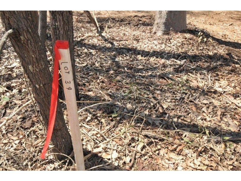 Lot 34 Pendennis Ridge – Pendennis Rd, Tamborine QLD 4270