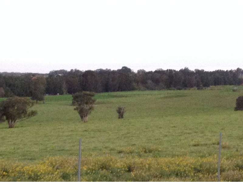 Wilberforce NSW 2354