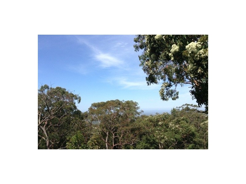 Bowen Mountain NSW 2753