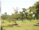 11 Coral Sea Drive, Cardwell QLD 4849