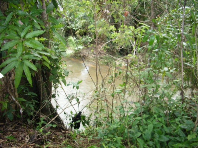 57169 Bruce Hwy, Bilyana, Cardwell QLD 4849