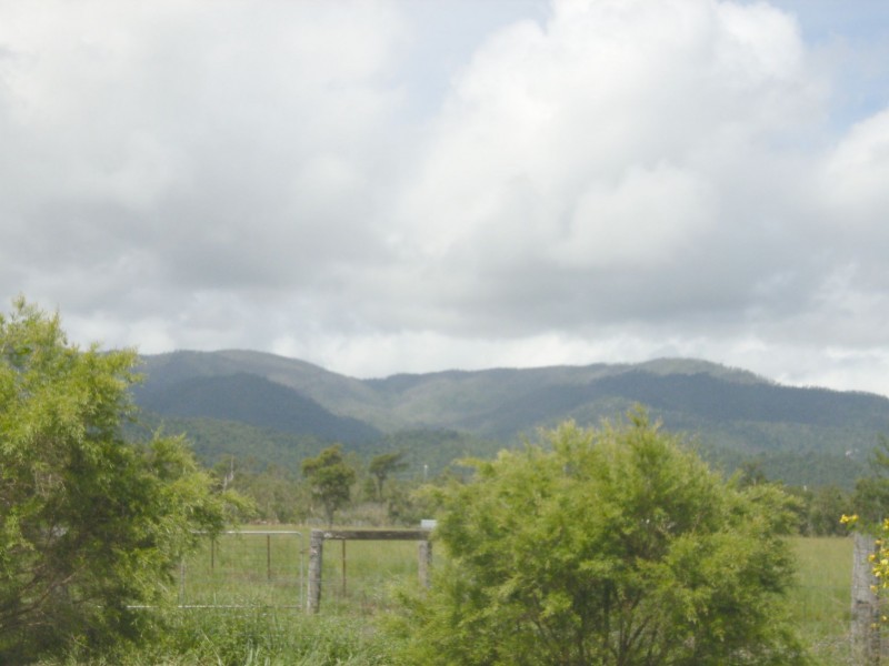 9 Bluff Road, Bilyana, Cardwell QLD 4849