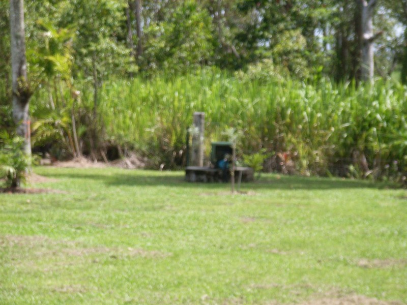 9 Bluff Road, Bilyana, Cardwell QLD 4849