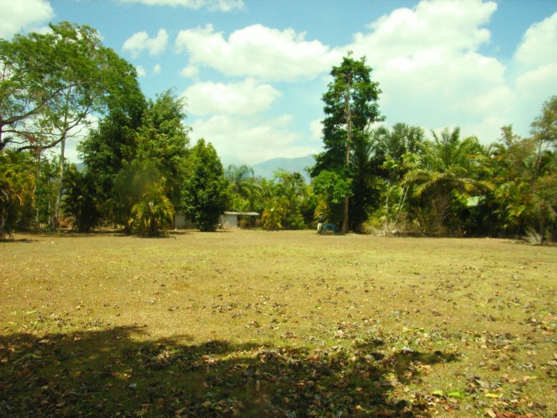 12 Ellerbeck Rd, Ellerbeck, Cardwell QLD 4849