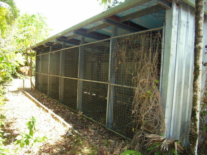 12 Ellerbeck Rd, Ellerbeck, Cardwell QLD 4849