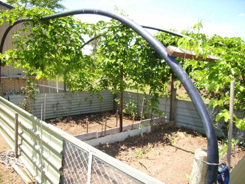 9 Ludwick St, Cardwell QLD 4849