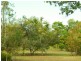 16 Gravel Pit Road, Cardwell QLD 4849