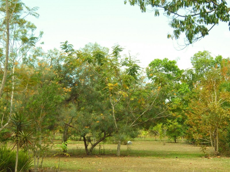16 Gravel Pit Road, Cardwell QLD 4849