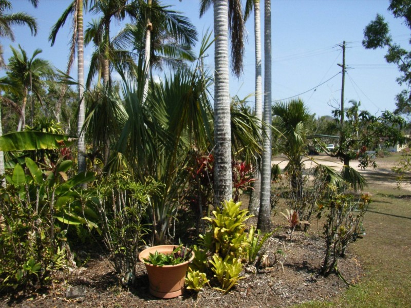 14 Roma St, Cardwell QLD 4849