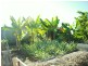 166 Victoria St, Cardwell QLD 4849