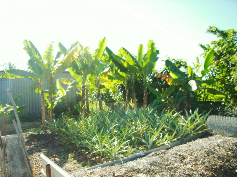166 Victoria St, Cardwell QLD 4849