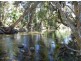 44 Ronlund Rd, Murray Upper, Cardwell QLD 4849