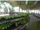 44 Ronlund Rd, Murray Upper, Cardwell QLD 4849