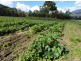 44 Ronlund Rd, Murray Upper, Cardwell QLD 4849