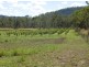 44 Ronlund Rd, Murray Upper, Cardwell QLD 4849
