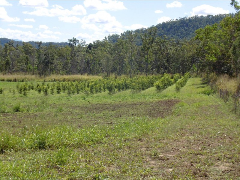 44 Ronlund Rd, Murray Upper, Cardwell QLD 4849