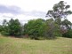 Kurrajong NSW 2758