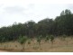 Lot 22 Putty Valley Road, Putty NSW 2330