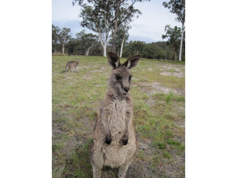 LOT 1 Putty Valley Road, Putty NSW 2330
