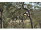Lot 22 Putty Road, Putty NSW 2330