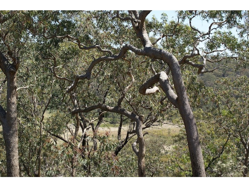 Lot 22 Putty Road, Putty NSW 2330