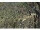 Lot 22 Putty Road, Putty NSW 2330