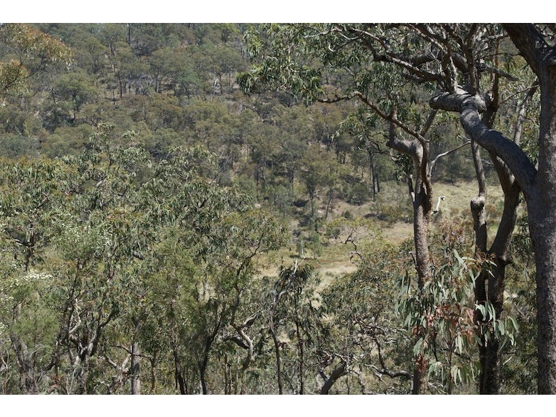 Lot 22 Putty Road, Putty NSW 2330