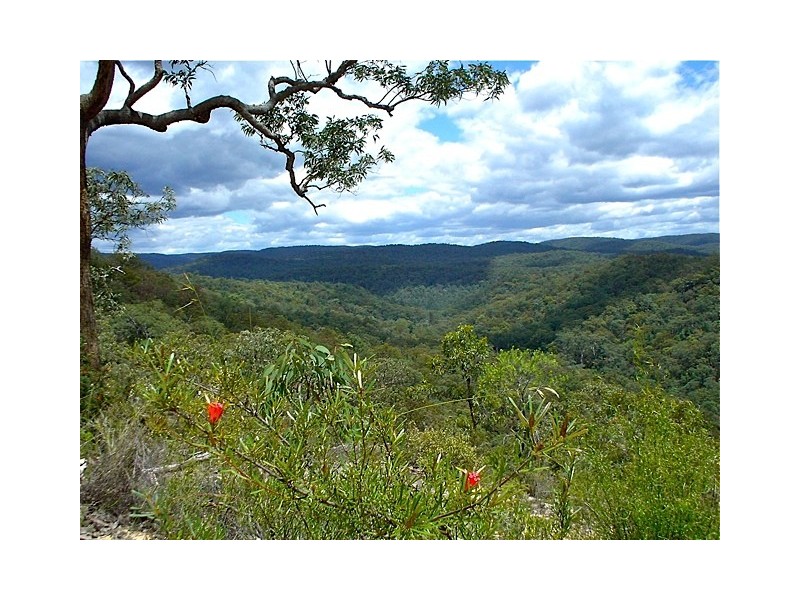 Lot 70 Putty Road, Putty NSW 2330